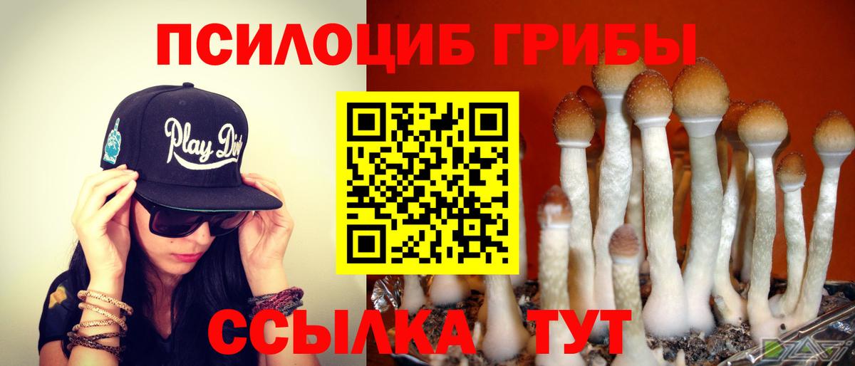 Псилоцибиновые грибы мицелий Армавир